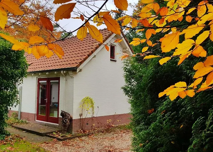 Dennenhuis