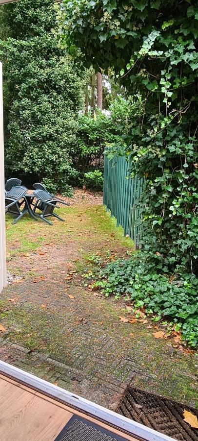 Dennenhuis Holiday home