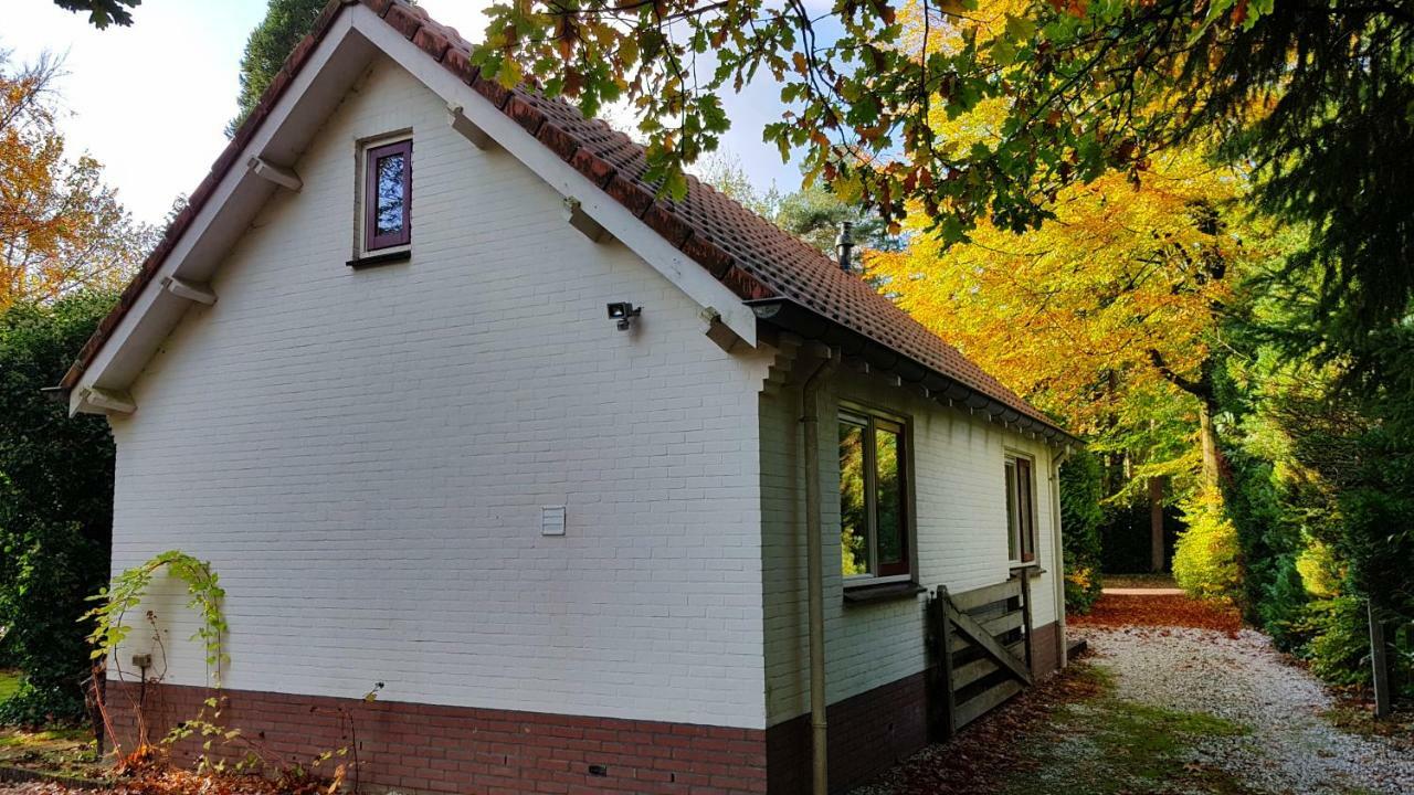 Dennenhuis Holiday home *