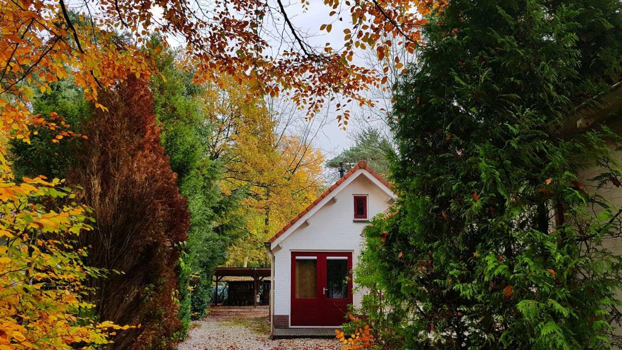 Dennenhuis Holiday home *